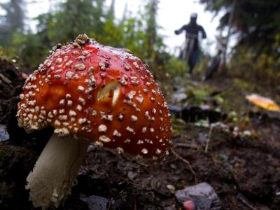 Trousers to the Left - 3