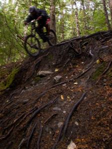 Trousers to the Left - 4