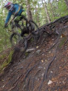 Trousers to the Left - 4