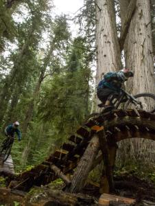 Trousers to the Left - 2