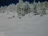 Early 90's bluebird pow on the Wildside