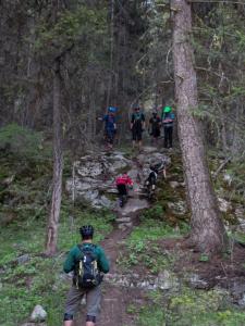 P5132188.jpg